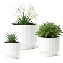 White Ceramic Ribbed Flower Pots (3 Count)