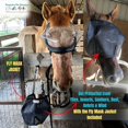 thumbnail image 2 of Horse Medical and Preventative Clear UV Recovery Vizor (Size Horse/Full) - Uveitis, Cataracts, Corneal Ulcers, Infections, Blindness, Visor, 2 of 6
