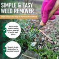 thumbnail image 4 of Herramienta deshierbadora manual Grampa's Weeder, ligera y duradera, 4 of 6