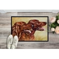 thumbnail image 2 of Carolines Treasures CDCO0225MAT Irish Setters Indoor or Outdoor Mat- 18 x 27, 2 of 4