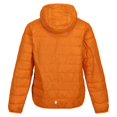 thumbnail image 3 of Regatta Boys/Girls Hillpack Hooded Jacket, 3 of 7