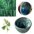 thumbnail image 3 of Herbe Hierba Portátil Cilantro Stripper Tool Herb Bowl Agujeros Redondos Resina () Azul, 3 of 9