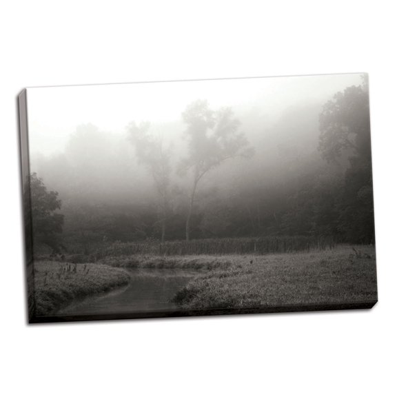 Gango Home Decor Creek in Fog II by Tammy Putman (Ready to Hang); One 36x24in Hand-Stretched Canvas