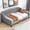 Gray, variant on Noble House Sabrina Luxury Twin Daybed, Velvet Upholstered Tufted Sofa Bed, Plywood Frame with Piped Edges, Gray