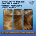 thumbnail image 4 of Clairol Nice'n Easy Permanent Hair Dye, 4 of 9