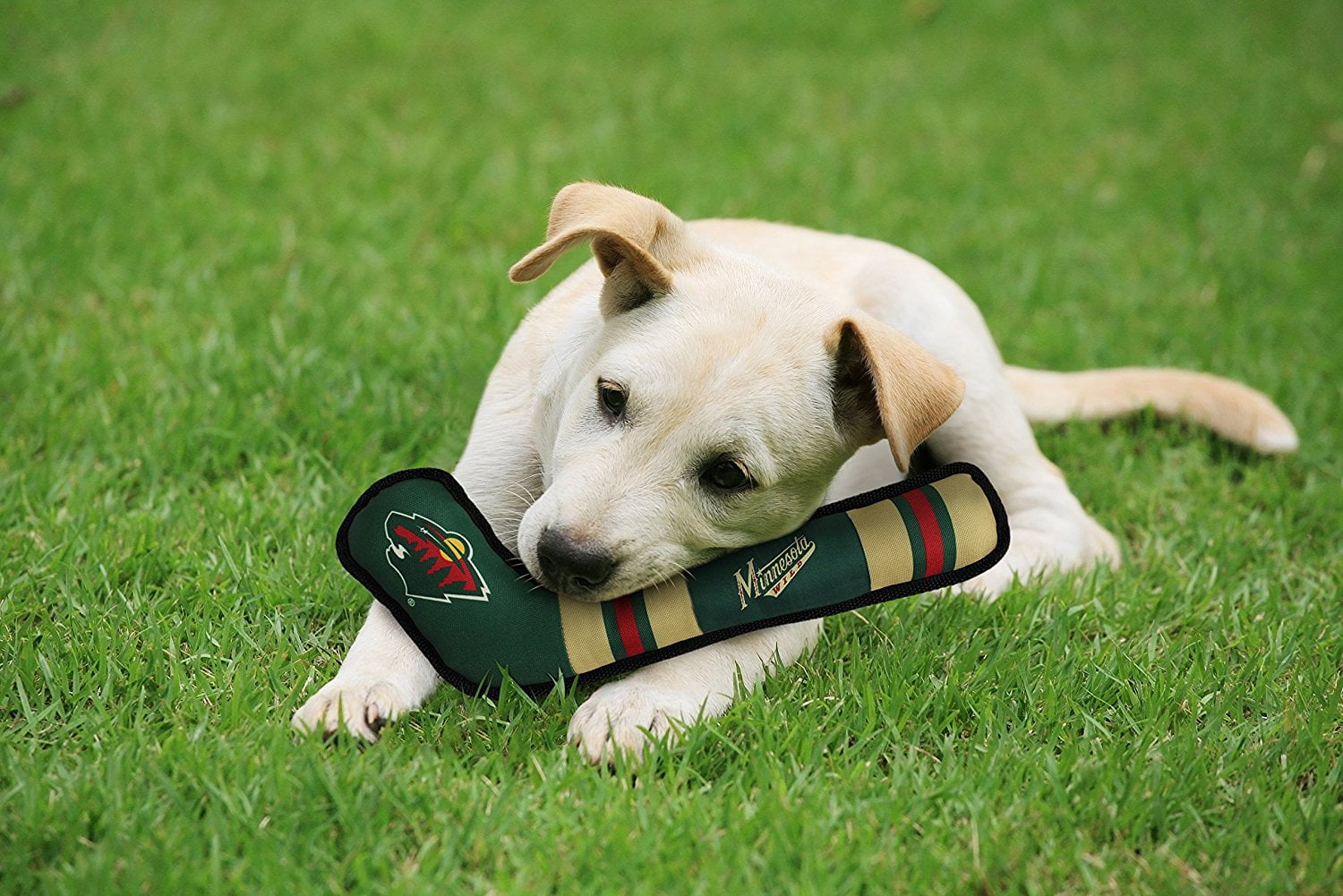 Pets First NHL Minnesota Wild Hockey Stick Toy for Dogs & Cats - Heavy-Duty, Durable Dog Toy with Squeaker