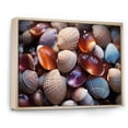 thumbnail image 2 of Designart "Beach Photo Seashell Euphony IV" Nautical & Beach Floater Framed Canvas Wall Art, 2 of 7
