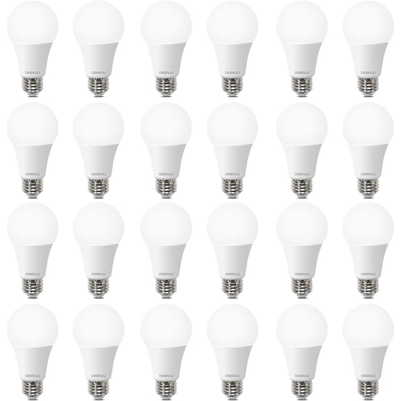 SRWEHG-A19 LED Light Bulbs, 100 Watt Equivalent, 5000K Daylight Light Bulbs, E26 Standard Base, 1500 Lumens, Non-Dimmable, 13W Bright White LED Bulbs for Bedroom Home Office, 24 Pack