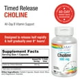 Solaray Supplement TwoStage TimedRelease Choline 300mg, B Vitamin