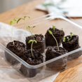 thumbnail image 7 of Coco Coir Seed Starter Pellets : 40 Coconut Coir Plugs for Growing Plants – Peat Free Seedling Soil – Seed Starter Kit with Potting Soil Pellets – 40 Starter Plugs – Gardening Supplies from OwnGrown, 7 of 7