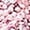 B, variant on Socks For Women Fashion Ladies Cake Coral Fleece Cake Floor Chrysanthemum Yarn Sleeping "Cupcake" With Gift Box Womens Socks