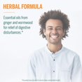 thumbnail image 4 of Genestra Brands - Candicin - con aceites esenciales de jengibre y ajenjo para aliviar molestias digestivas - 60 c&#2013265921psulas vegetales, 4 of 7