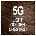 thumbnail image 3 of Naturtint Tinte Castaño Claro Dorado 5g (1xKit), 3 of 8
