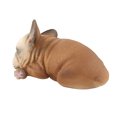 thumbnail image 4 of Modelo de mascota plástico realista vida silvestre animal niños niño figura juguete decoración del hogar regalo, 938 Inevent FN000219-05, 4 of 7
