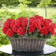 thumbnail image 6 of Morttic 4 Pcs Artificial Geraniums Silk Flowers Outdoor Artificial Red Geranium Bush Faux Flowers Red Geraniums for Floral Home Decor Outdoor Indoor Garden Patio Grave Cemetary Vase Table Centerpiece, 6 of 7