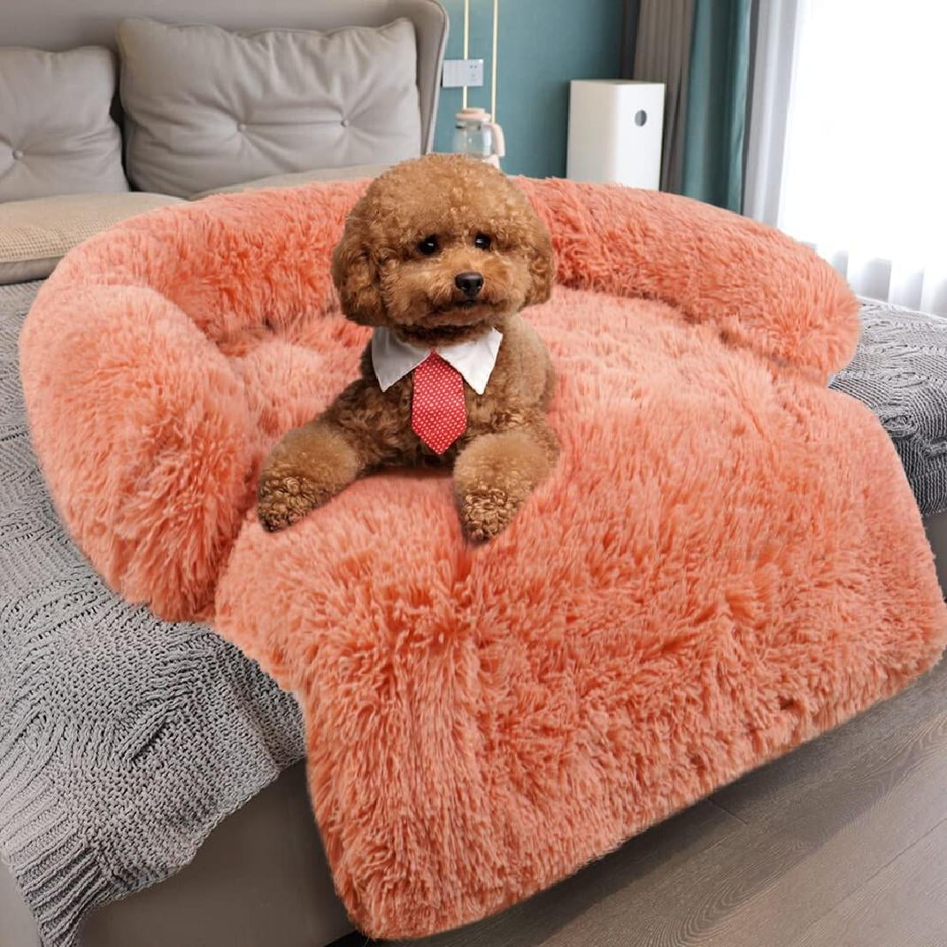 dog sized couch