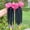 Pink, variant on 2pcs STHair Kids Ponytail Extensions, Braids With Beads, Sweet Hair Extension With Elastic Tie, Twist Ponytails With Hair Bows, Cute Pigtail, Beautiful Wig For Girls