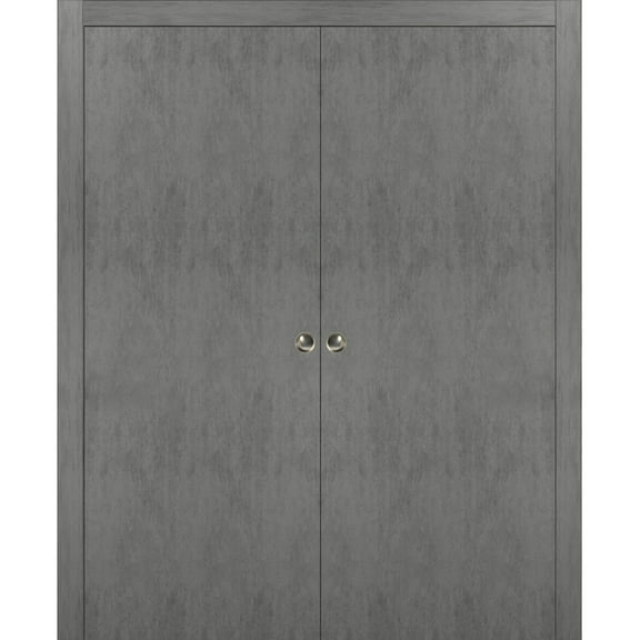 Sliding French Double Pocket Doors 56 x 96 inches | Planum 0010 Concrete | Kit Trims Rail Hardware | Solid Wood Interior Bedroom Sturdy Doors