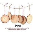 thumbnail image 3 of 30 piezas de rodajas de madera natural YUANXCMXG 6 a 7 cm con hilo de yute, 3 of 5