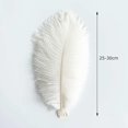 thumbnail image 2 of 20 pcs Natural White Ostrich Feathers Plumes 10-12 inch(25-30 cm) Bulk for Wedding Party Centerpieces,Gatsby Decorations, 2 of 5