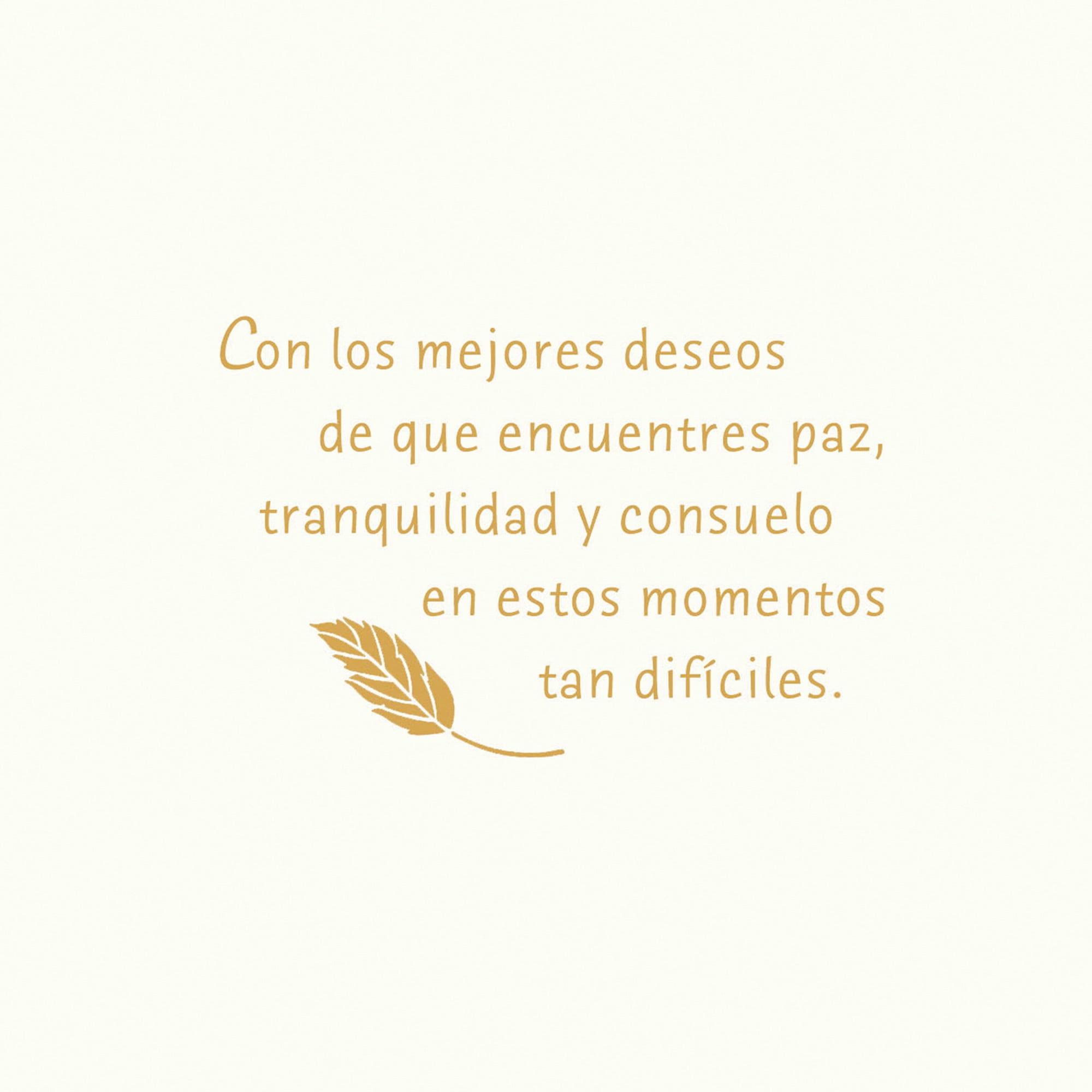 Hallmark VIDA Spanish-Language Sympathy Card (Wish You Peace and Comfort)
