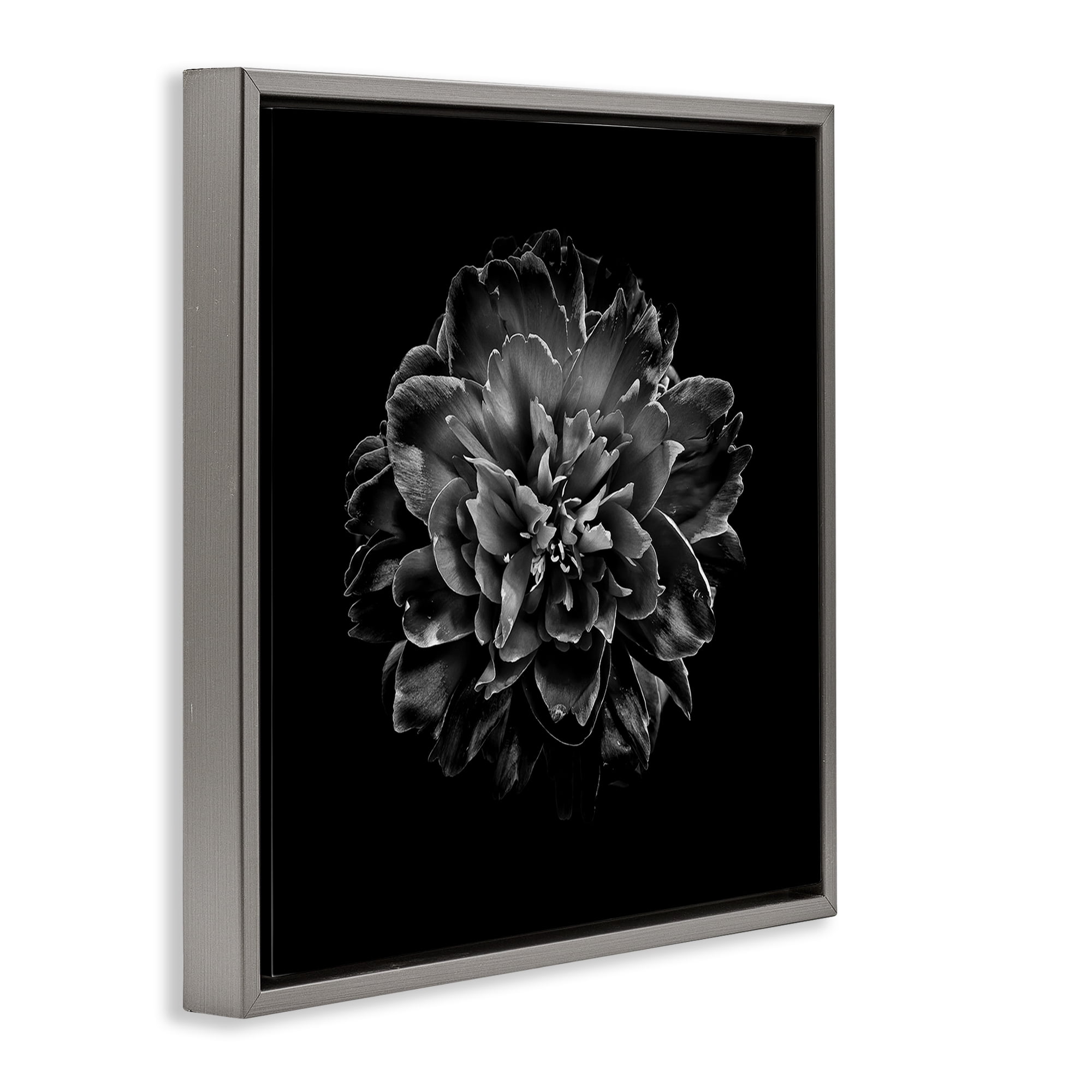 Stupell Industries Dark Carnation on Black Plants & Flowers Photography Gray Floater Framed Canvas Art Print Wall Art, 18 x 18