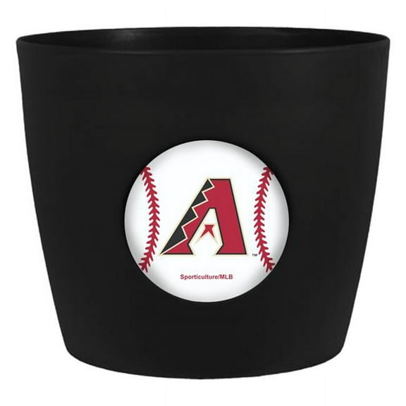 ARIZONA DIAMONDBACKS BUTTON POT