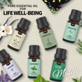 thumbnail image 2 of Set de aceites esenciales MISIJI Top 6 de aromaterapia para difusor, 60 ml, 2 of 6