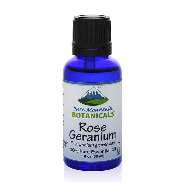 Rose Geranium (Pelargonium Graveolens) Essential Oil - 100% Pure Natural & Kosher - 1 fl oz Rose Geranium (Pelargonium Graveolens) Essential Oil - 100% Pure Natural & Kosher - 1 fl oz