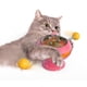 thumbnail image 4 of Juguete interactivo con hierba gatera para gatos, plato giratorio, bola de hierba gatera, resorte para gatos, juguete divertido para gatos Rosa, 4 of 8