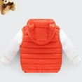 thumbnail image 4 of Godderr Toddler Baby Warm Puffer Down Vest for Boys Girls Lightweight Bear Ears Hooded Sleeveless Cotton Jacket for 1-5Y, 4 of 5