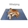thumbnail image 4 of Almohadillas antideslizantes para perros Whelping Pad Peepeego, extra grandes, 180 x 180 cm, 4 of 6