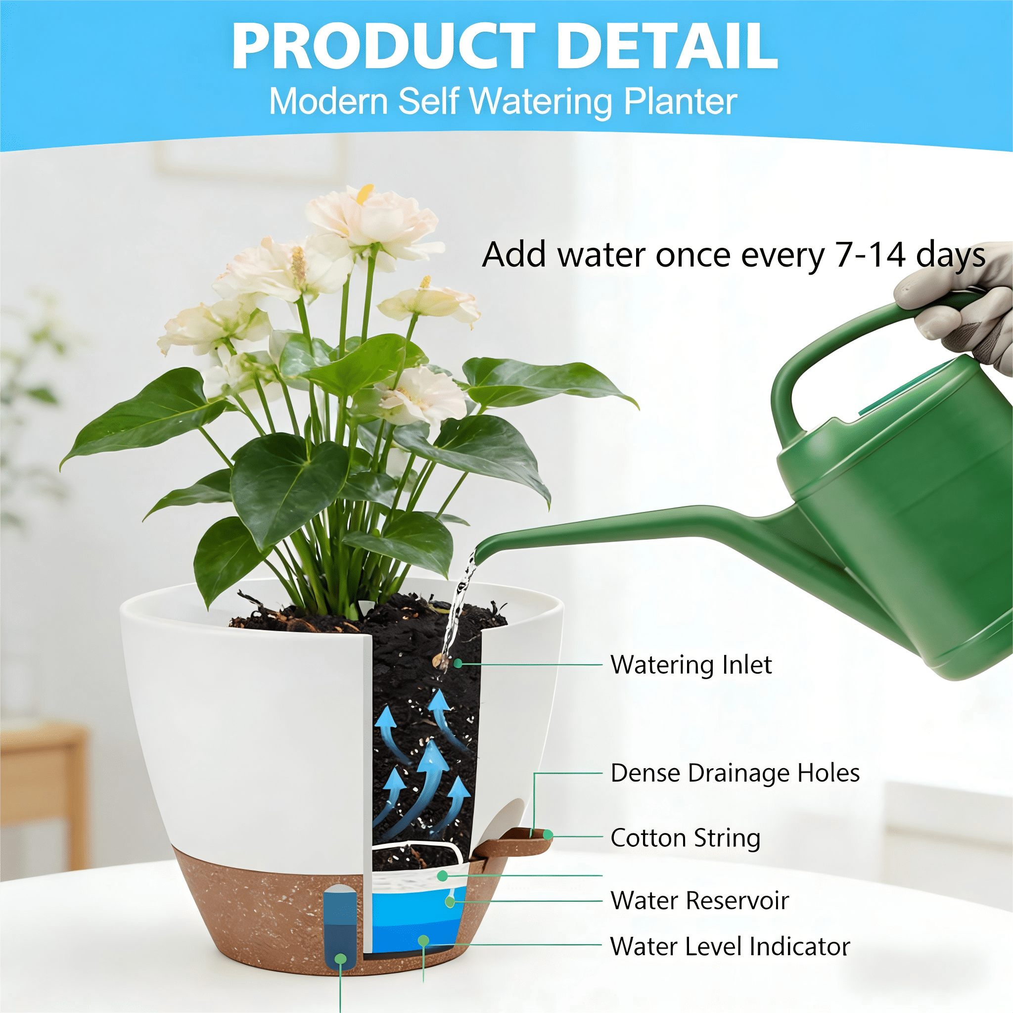 Lopxenu 12/10/9/8 Inch Self Watering Pots with Visual Water Window, Extra Large Self Watering Plant Pot with Drainage Holes and Saucers, Plastic Flower Pots for Indoor Plants (White)