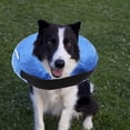 thumbnail image 4 of Inflatable Dog Collar Adjustable Recovery Cone After Pet Surgery Protective 1 Pcs, 4 of 4