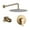 Gold, variant on Rainlex One-Handle 1-Spray Polished Chrome Shower Faucet