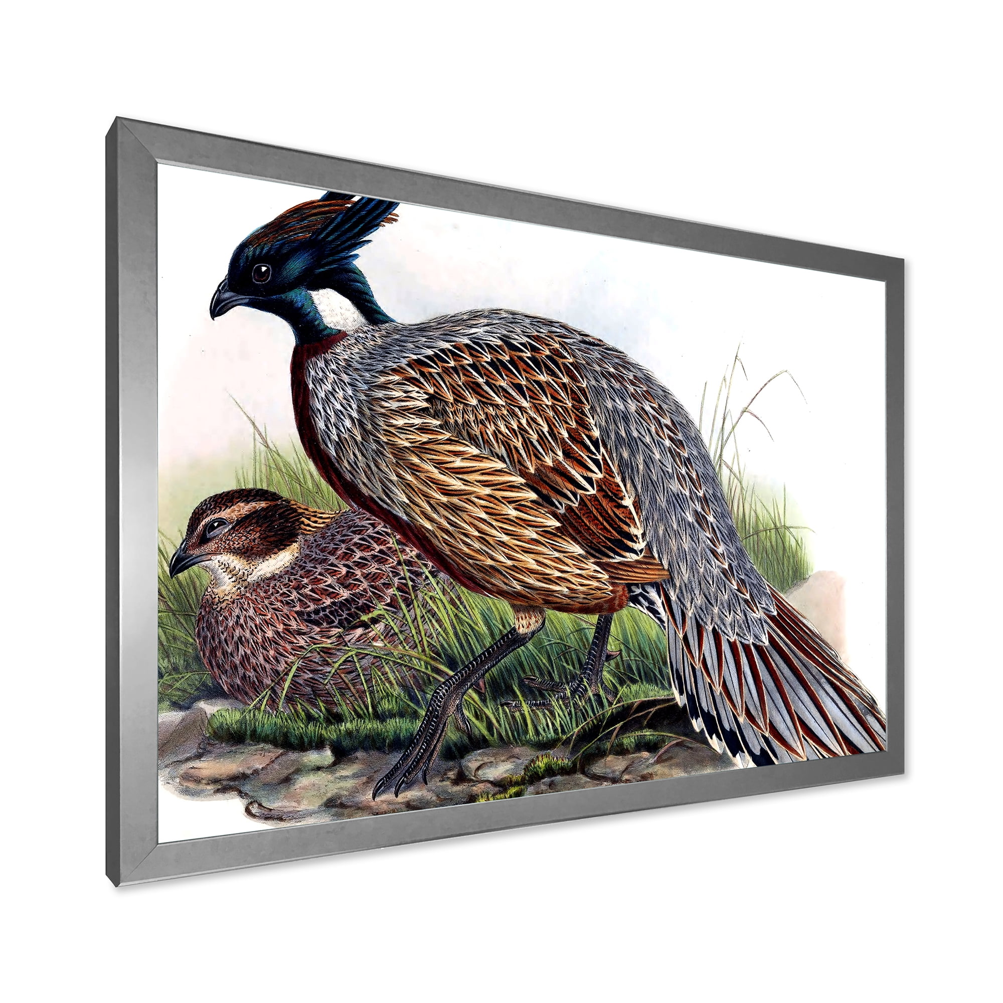 Designart 'Close Up Of Vintage Countryside Birds' Farmhouse Framed Art Print