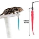 thumbnail image 3 of 12 piezas de juguetes para gatos, juguetes interactivos para gatos, varillas de cinta de tela coloridas, juguetes con correa para gatos, juguetes interactivos para gatos de interio, 3 of 5