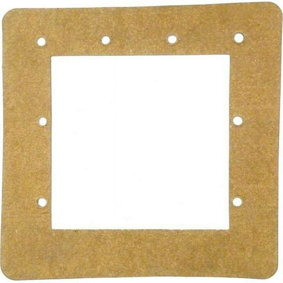 A Skimmer Gasket