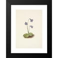 thumbnail image 2 of Mary Vaux Walcott 18x24 Black Modern Framed Museum Art Print Titled - Northern Butterwort. Pinguicula Vulgaris (1925), 2 of 5