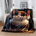 thumbnail image 1 of Couverture Ragdoll Chat Persan Calico Chat Garfield Couverture Douce pour Maison Chambre Lit Canapé Couverture Enfants, 1 of 7