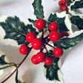 thumbnail image 3 of Navidad Led Cadena De Luces 2M 20Led Hoja De Navidad Fruta Roja Luces De Hadas Vacaciones De Navidad Luces De Navidad Decoraciones De Navidad Advancent HA038084-00, 3 of 6