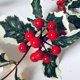 thumbnail image 3 of Navidad Led Cadena De Luces 2M 20Led Hoja De Navidad Fruta Roja Luces De Hadas Vacaciones De Navidad Luces De Navidad Decoraciones De Navidad Moyic HA038084-00, 3 of 6