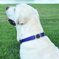 thumbnail image 5 of Biothane Waterproof Dog Collar with Herm Sprenger Stainless Steel Quick Release Buckle, 5 of 43