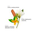thumbnail image 3 of Perfume ETLEÉ Woody & Musky Eau de Parfum, 10 ml, para mujer y hombre, 3 of 8