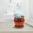 thumbnail image 2 of Southern Patio Wisteria 8" Diameter Ceramic Planter Pot w/ Saucer, Red, 2 of 7