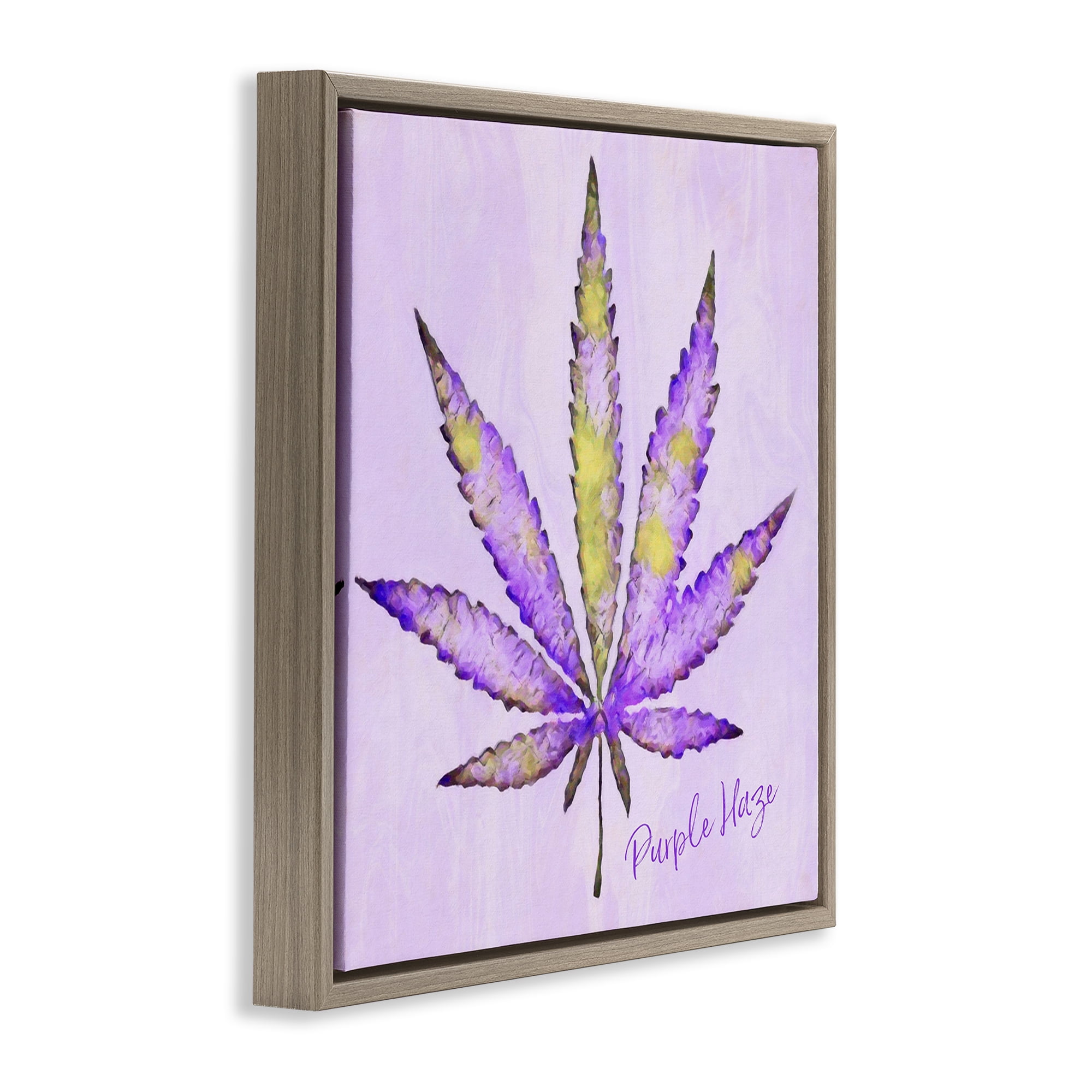 Stupell Industries Purple Haze Plant Leaf Plants & Flowers Painting Brown Floater Framed Canvas Art Print Wall Art, 25 x 25
