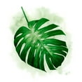 thumbnail image 2 of Popp, Grace 15x15 White Modern Wood Framed Museum Art Print Titled - Palm Wash I, 2 of 4