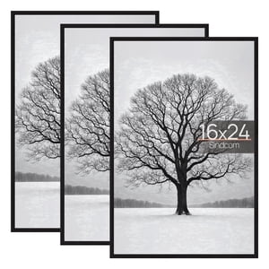 Sindcom 16 x 24 Picture Frames, Black (Set of 3)