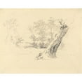 thumbnail image 2 of Robert Hills 24x20 Black Ornate Framed Double Matted Museum Art Print Titled: Tree Study, 2 of 5