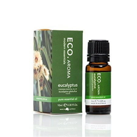 ECO. 100 Pure Eucalyptus Essential Oil, fresh, woody, sweet scent, treats colds and flu, Relaxes and Reduces pain, Made in (Best Way To Treat The Flu)